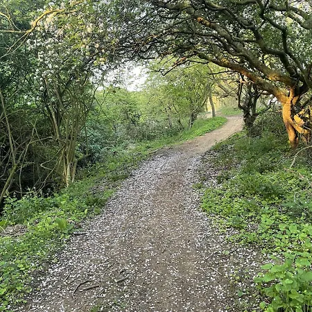 Willow בית נופש Reighton