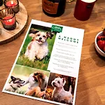 Willow Casa de Férias *