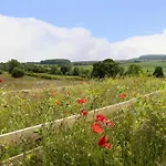 Willow Cloughton