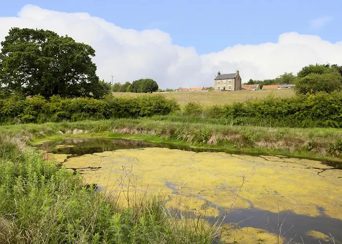 別荘 Willow Cloughton