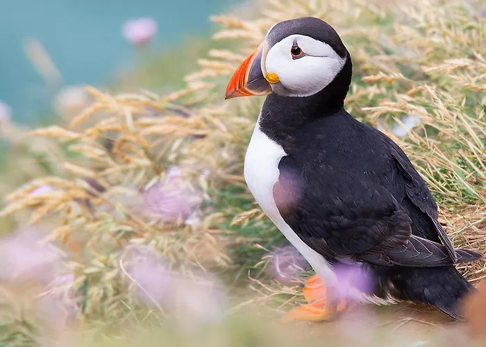 Willow 別荘 Cloughton